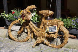 Bamberg 2010_078